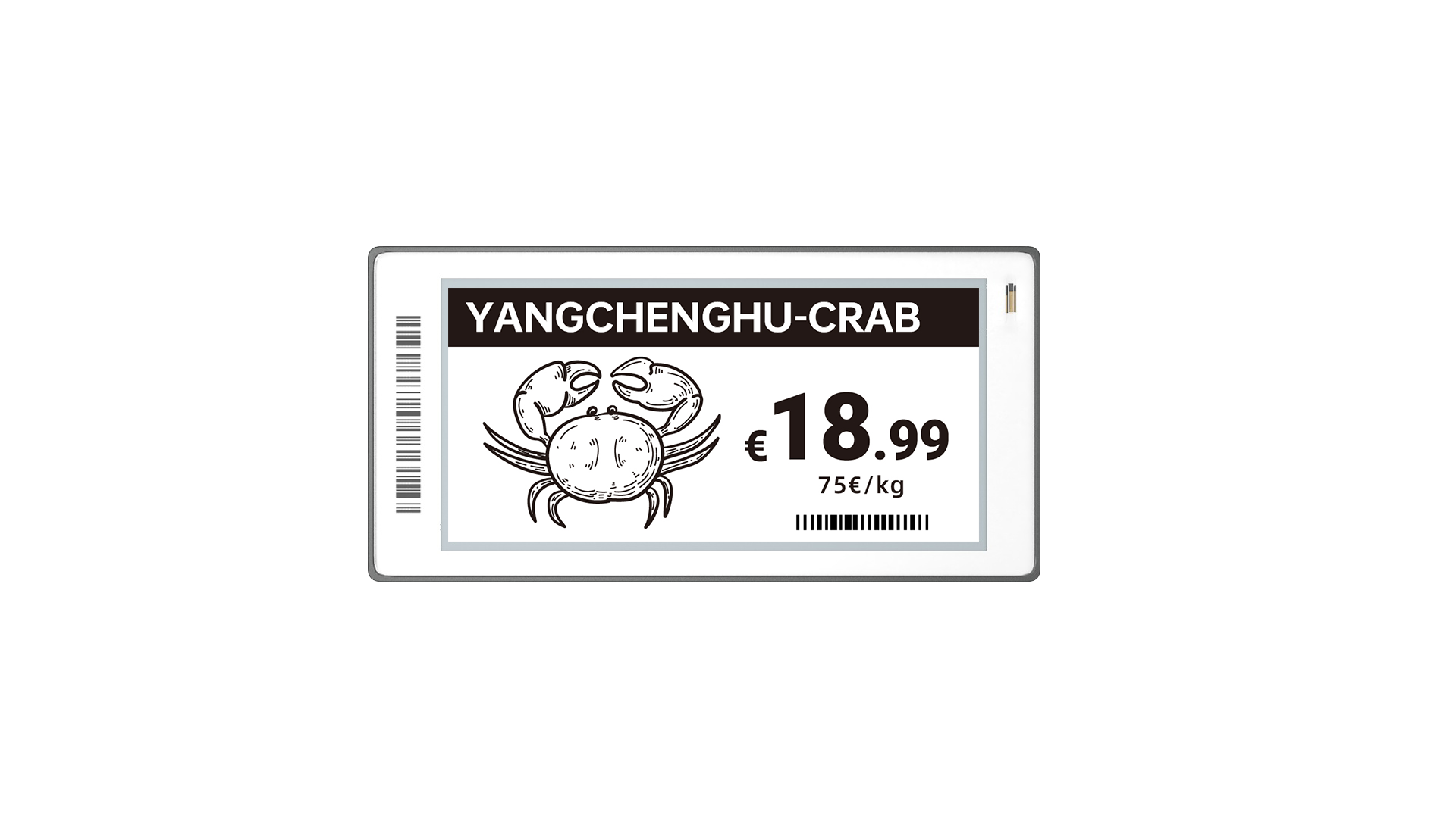 Teamotto LS0350C 冷鏈標籤 3.5 吋（防凍）